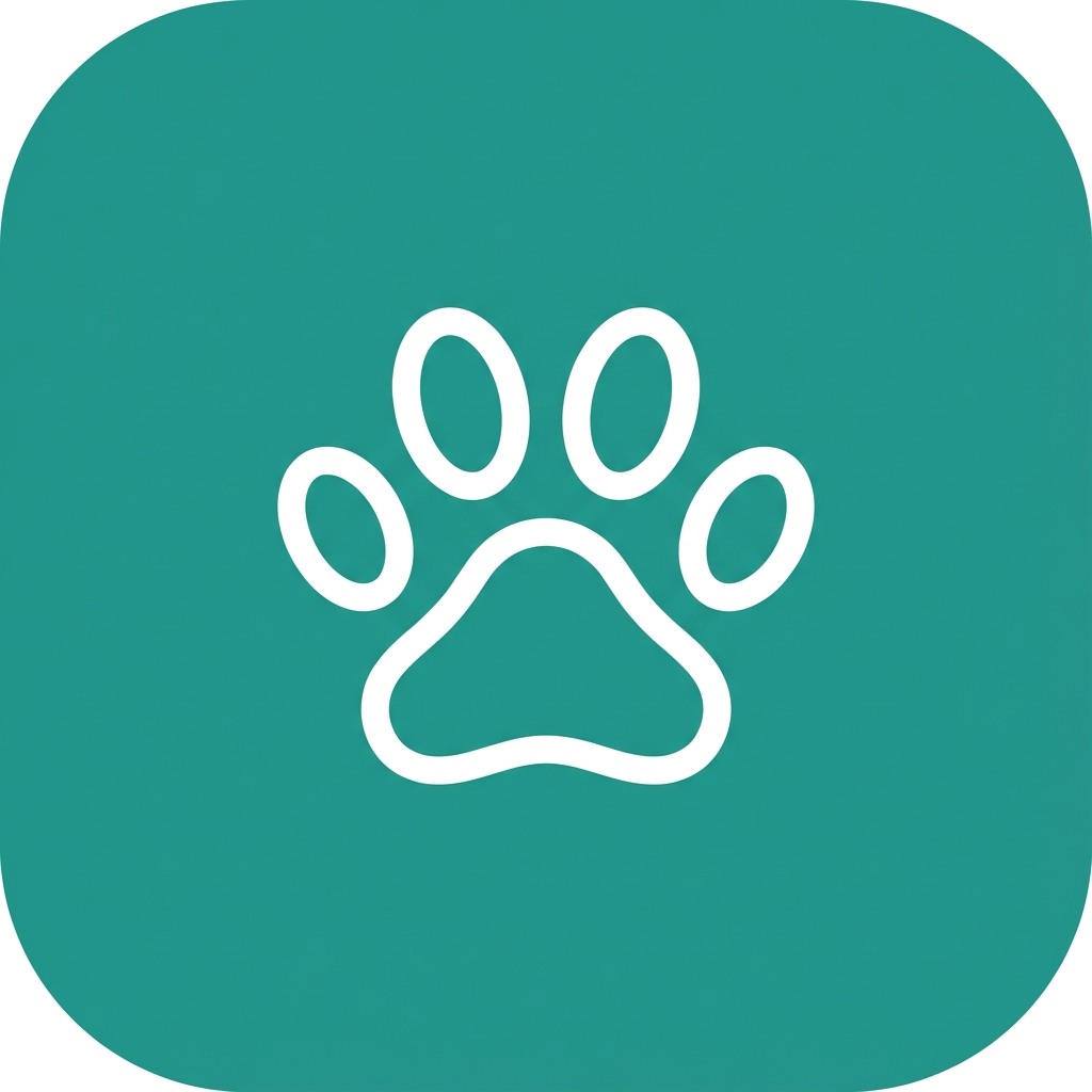 Kylosi Editorial Team